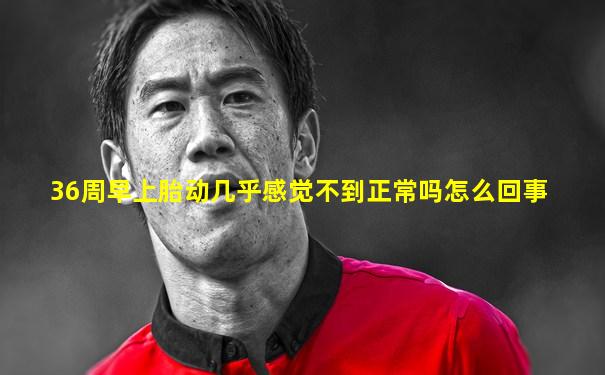 36周早上胎动几乎感觉不到正常吗怎么回事