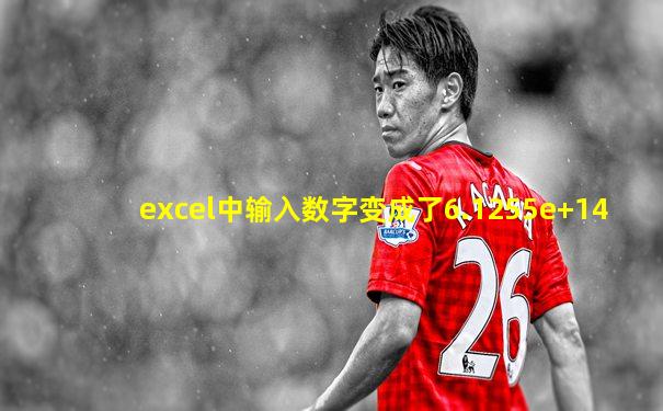 excel中输入数字变成了6.1255e+14