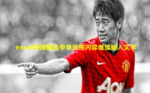 excel快捷键选中单元格内容继续输入文字