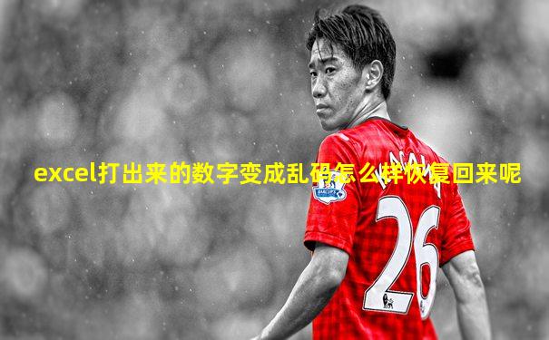 excel打出来的数字变成乱码怎么样恢复回来呢