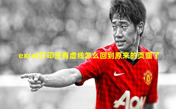 excel打印没有虚线怎么回到原来的页面了