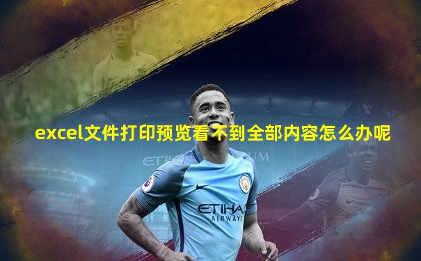 excel文件打印预览看不到全部内容怎么办呢