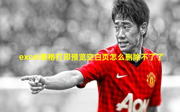 excel表格打印预览空白页怎么删除不了了