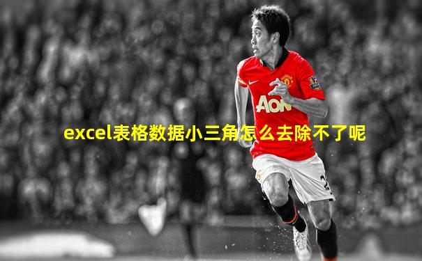 excel表格数据小三角怎么去除不了呢
