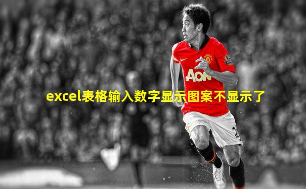 excel表格输入数字显示图案不显示了