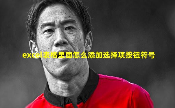 excel表格里面怎么添加选择项按钮符号