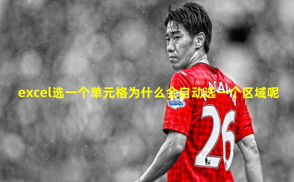 excel选一个单元格为什么会自动选一个区域呢