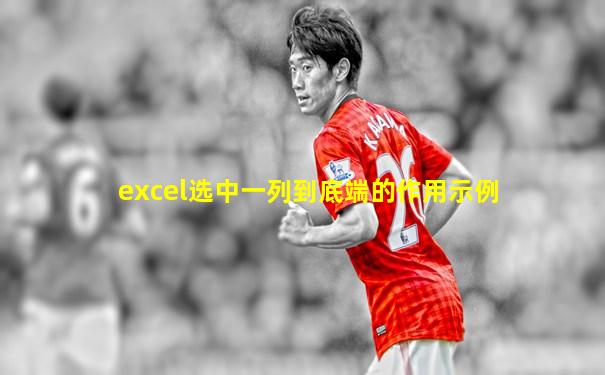 excel选中一列到底端的作用示例