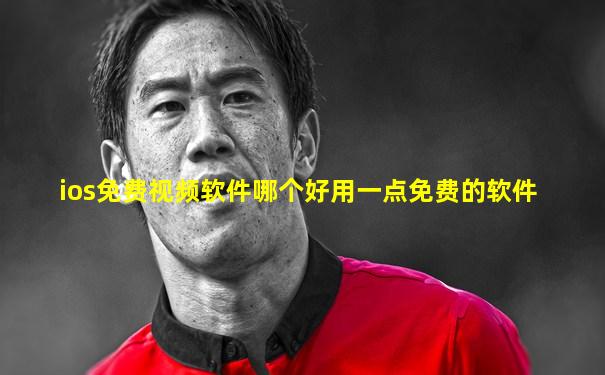 ios免费视频软件哪个好用一点免费的软件