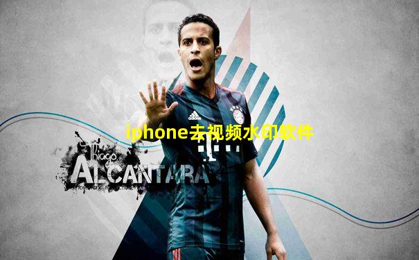 iphone去视频水印软件