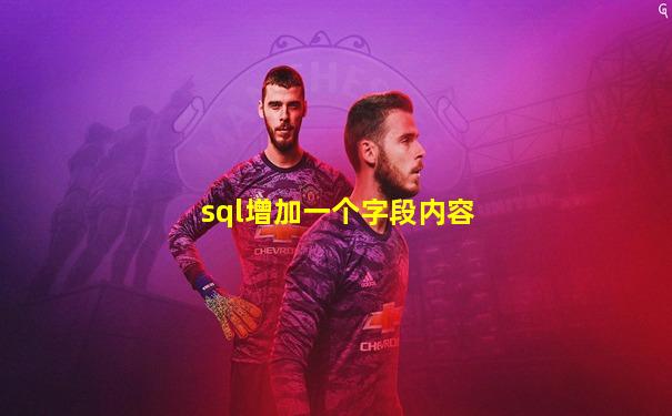 sql增加一个字段内容