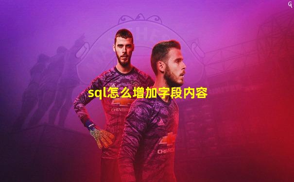 sql怎么增加字段内容