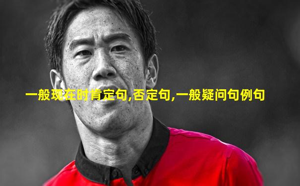 一般现在时肯定句,否定句,一般疑问句例句