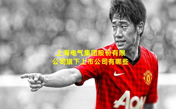 上海电气集团股份有限公司旗下上市公司有哪些
