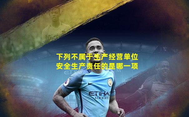 下列不属于生产经营单位安全生产责任的是哪一项