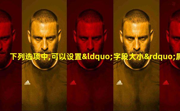 下列选项中,可以设置“字段大小”属性的是