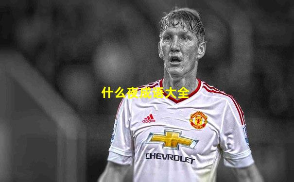 什么夜成语大全
