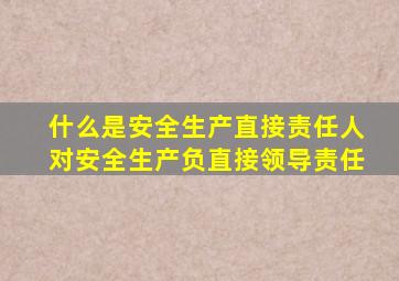 什么是安全生产直接责任人对安全生产负直接领导责任