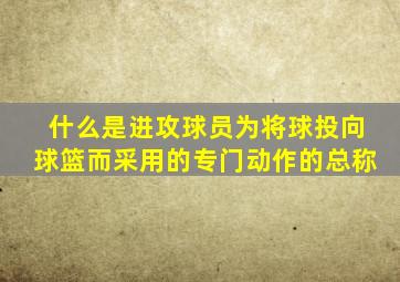 什么是进攻球员为将球投向球篮而采用的专门动作的总称