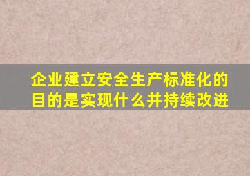 企业建立安全生产标准化的目的是实现什么并持续改进