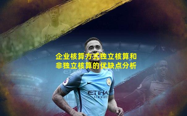 企业核算方式独立核算和非独立核算的优缺点分析