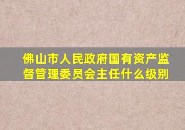 佛山市人民政府国有资产监督管理委员会主任什么级别