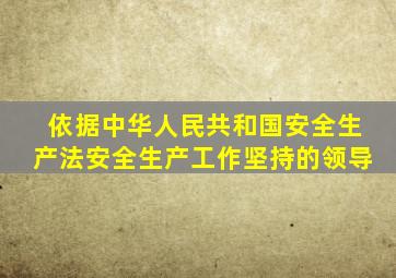 依据中华人民共和国安全生产法安全生产工作坚持的领导