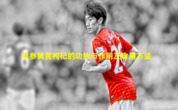 党参黄芪枸杞的功效与作用及食用方法
