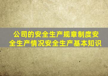 公司的安全生产规章制度安全生产情况安全生产基本知识