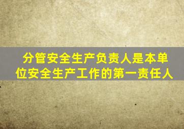 分管安全生产负责人是本单位安全生产工作的第一责任人