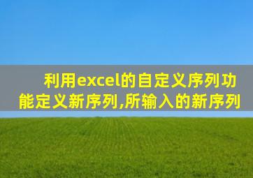 利用excel的自定义序列功能定义新序列,所输入的新序列