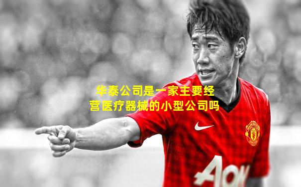 华泰公司是一家主要经营医疗器械的小型公司吗