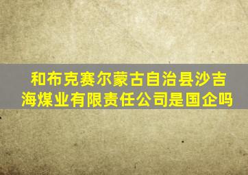 和布克赛尔蒙古自治县沙吉海煤业有限责任公司是国企吗