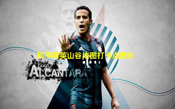 和平精英山谷地图打卡点图片