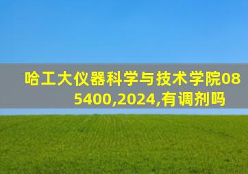 哈工大仪器科学与技术学院085400,2024,有调剂吗