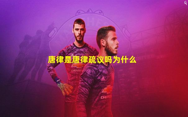 唐律是唐律疏议吗为什么