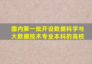 国内第一批开设数据科学与大数据技术专业本科的高校