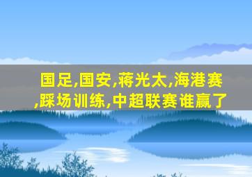 国足,国安,蒋光太,海港赛,踩场训练,中超联赛谁赢了