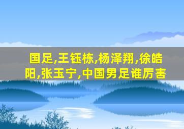 国足,王钰栋,杨泽翔,徐皓阳,张玉宁,中国男足谁厉害