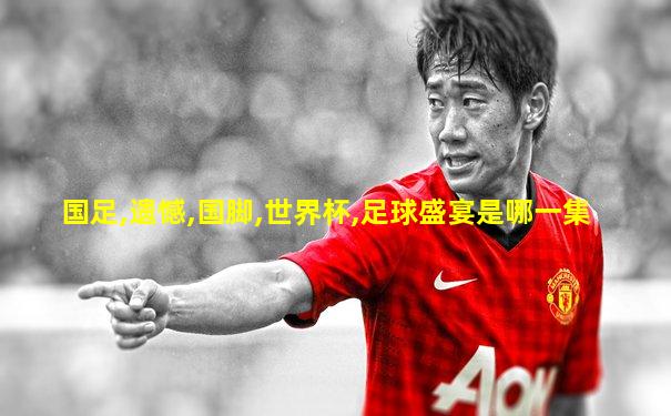 国足,遗憾,国脚,世界杯,足球盛宴是哪一集