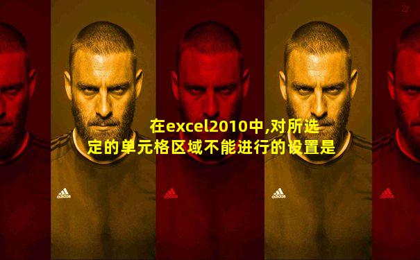 在excel2010中,对所选定的单元格区域不能进行的设置是