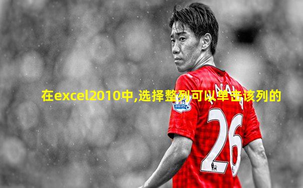 在excel2010中,选择整列可以单击该列的