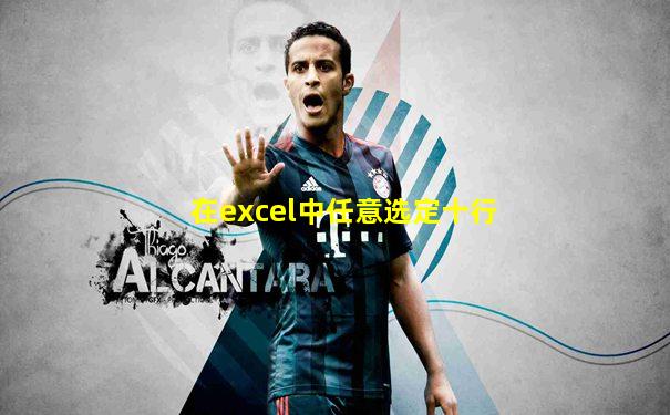 在excel中任意选定十行