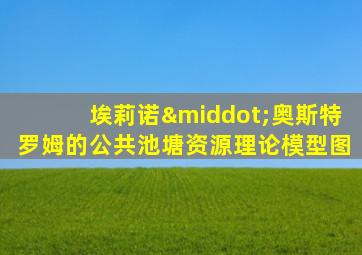 埃莉诺·奥斯特罗姆的公共池塘资源理论模型图