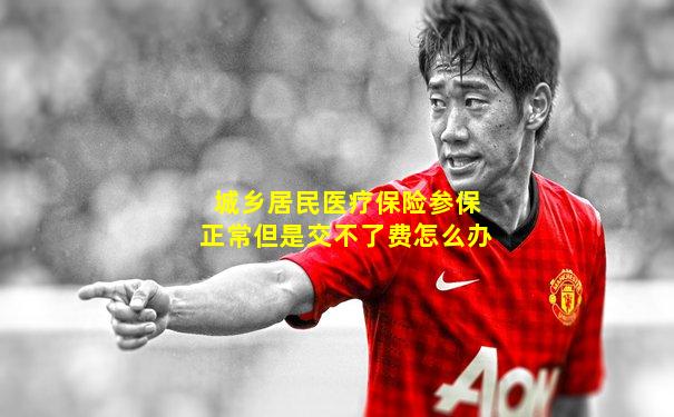 城乡居民医疗保险参保正常但是交不了费怎么办