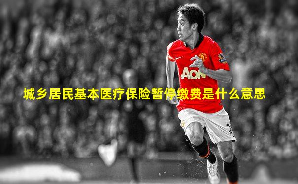城乡居民基本医疗保险暂停缴费是什么意思
