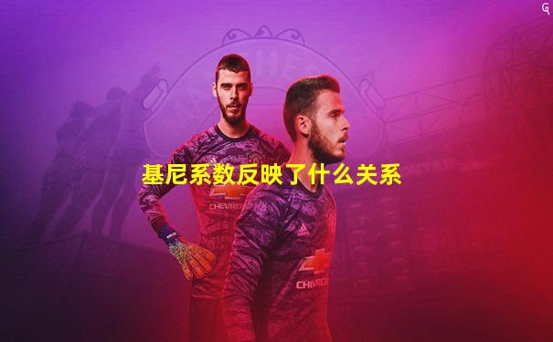 基尼系数反映了什么关系