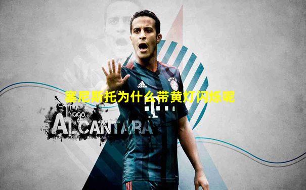 塞尼斯托为什么带黄灯闪烁呢