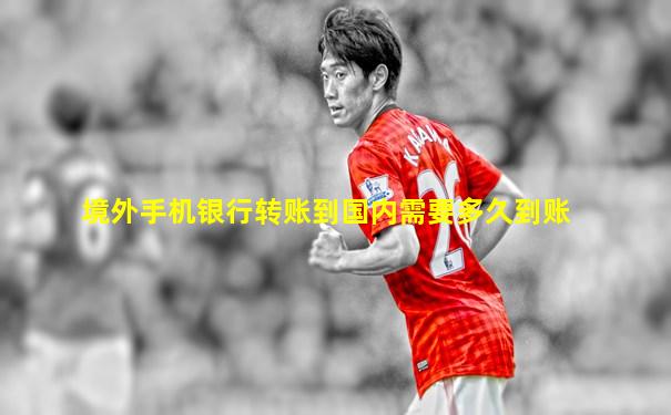 境外手机银行转账到国内需要多久到账
