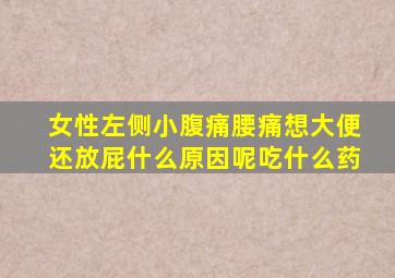 女性左侧小腹痛腰痛想大便还放屁什么原因呢吃什么药